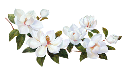 Logo Bota'Life